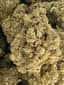 Sticky Ricky Buds 3.50 Gram