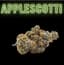 Applescotti Buds 7 Gram