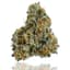 Private Reserve Buds 14 Gram