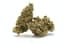 Xj 13 Buds 3.50 Gram