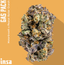 Gas Pack Buds 3.50 Gram