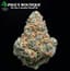 Ecsd Buds 3.50 Gram