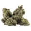 Galactica Og Buds 14 Gram