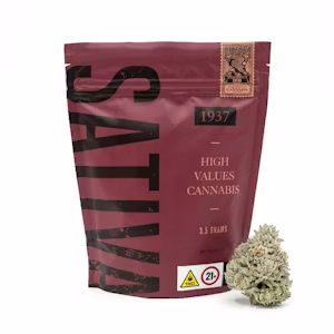 Silver Surfer Buds 3.50 Gram