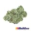 White Wedding Buds 3.50 Gram