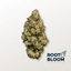 Ghost Dawg Buds 28 Gram