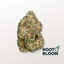 Cherry Pie Og Buds 3.50 Gram