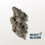 Tricheratrops Buds 14 Gram
