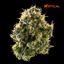 Lemon Batter Buds 14 Gram