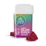 Island Punch Gummies 100 Mg