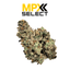 Kashmir Buds 3.50 Gram