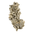 Violet Vixen Buds 3.50 Gram