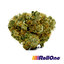 Half Day Kush Buds 3.50 Gram