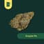 Grapple Pie Buds 14 Gram