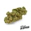 Deliziozo Buds 3.50 Gram
