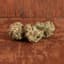 Orange Chemeleon Buds 3.50 Gram