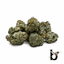Garlic Cocktail Buds 3.50 Gram