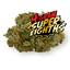 Northern Lights Buds 7 Gram