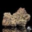 Black Maple Buds 3.50 Gram