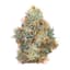 Permanent Marker Buds 3.50 Gram