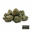 Reefer Shark Buds 3.50 Gram