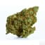 Gaslit Buds 28 Gram