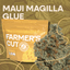 Maui Magilla Glue Buds 28 Gram