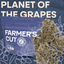 Planet Of The Grapes Buds 28 Gram