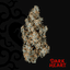 Titan Express Buds 3.50 Gram