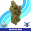 Banana Beltz Buds 3.50 Gram