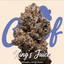 King's Juice Buds 3.50 Gram