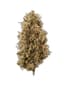 Lemon Haze Buds 28 Gram
