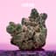 Layer Cake Buds 3.50 Gram