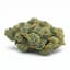 Lemon Batter Buds 1 Gram