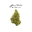 Moonshine Daze Buds 3.50 Gram