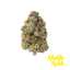 Baby Turtle Buds 3.50 Gram