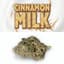 Cinnamon Milk Buds 3.50 Gram