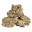 Bubba's Girl Buds 3.50 Gram