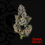 Triple Stack Buds 14 Gram
