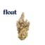 Gaspar's Grapes Buds 3.50 Gram