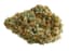 Donny Burger Buds 28 Gram