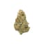 Mac N Cheese Buds 3.50 Gram