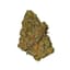 Black Maple Buds 3.50 Gram