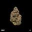Black Maple 22 Buds 3.50 Gram